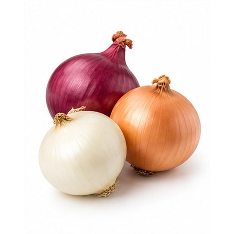 Onion — Fresh Vegetables